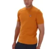 Pumpkin Spice Sunny Essential T-Shirt